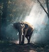 Shutterfrontier
